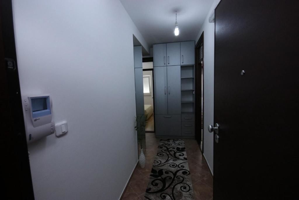 Апартаменты Apartman Nilic Бар-50